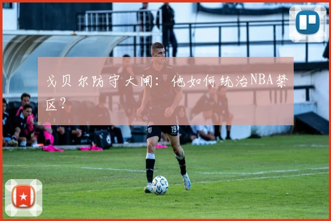 戈贝尔防守大闸：他如何统治NBA禁区？