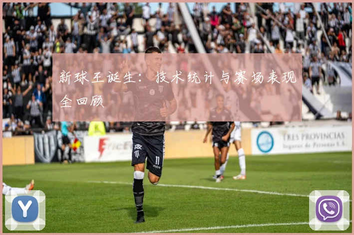 新球王诞生:技术统计与赛场表现全回顾