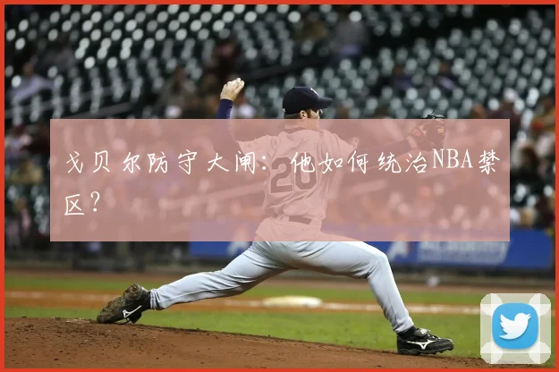 戈贝尔防守大闸：他如何统治NBA禁区？