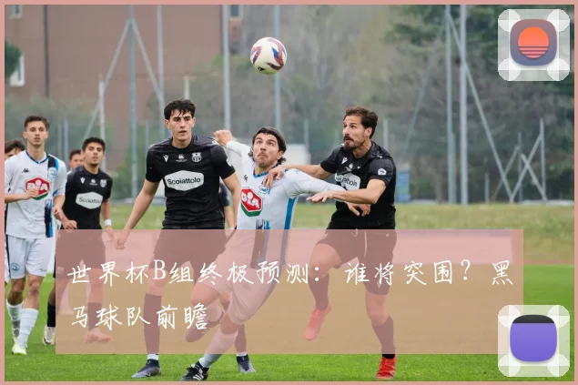 世界杯B组终极预测：谁将突围？黑马球队前瞻