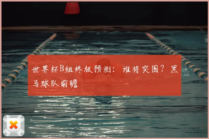 世界杯B组终极预测：谁将突围？黑马球队前瞻